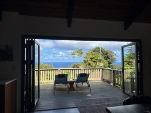 Space-Saving Bifold Door for Homes